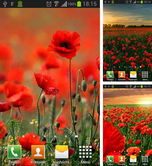 Android 搭載タブレット、携帯電話向けのライブ壁紙 Best wallpapersの秋 のほかにも、ポピーズ、Poppies も無料でダウンロードしていただくことができます。