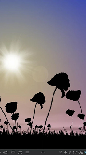 Download Poppy field - livewallpaper for Android. Poppy field apk - free download.