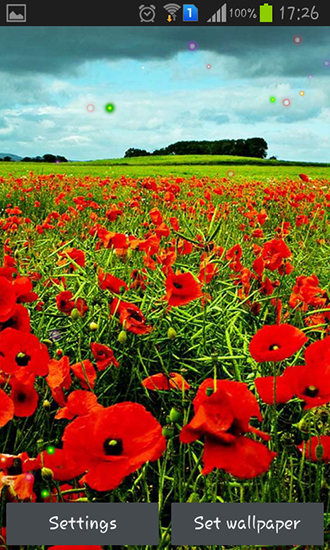 Écrans de Poppy fields pour tablette et téléphone Android.