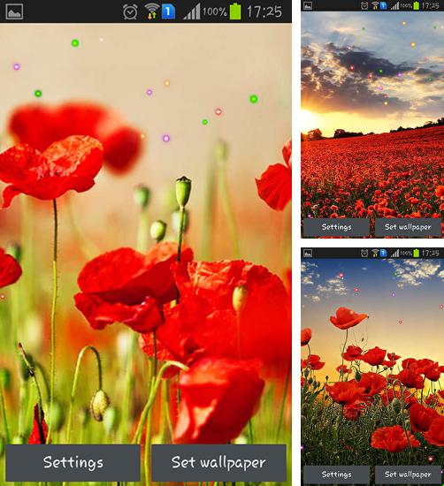 In addition to live wallpaper Party for Android phones and tablets, you can also download Poppy fields for free.