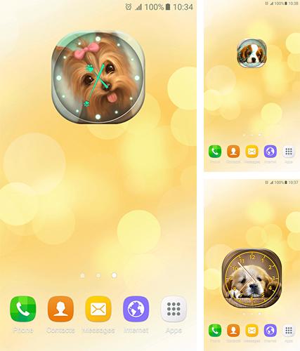 Télécharger le fond d'écran animé gratuit Chiot: Chrono analogue . Obtenir la version complète app apk Android Puppies: Analog clock pour tablette et téléphone.