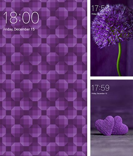 Purple - бесплатно скачать живые обои на Андроид телефон или планшет.