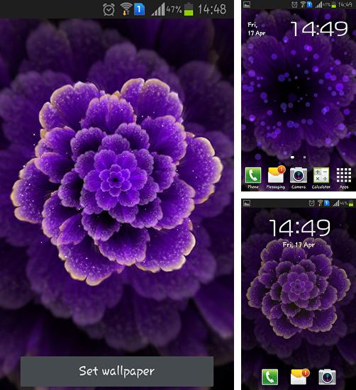 Download live wallpaper Purple flower for Android. Get full version of Android apk livewallpaper Purple flower for tablet and phone.