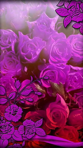 Kostenloses Android-Live Wallpaper Lila Blumen. Vollversion der Android-apk-App Purple flowers für Tablets und Telefone.