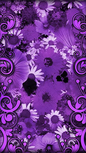 Écrans de Purple flowers pour tablette et téléphone Android.