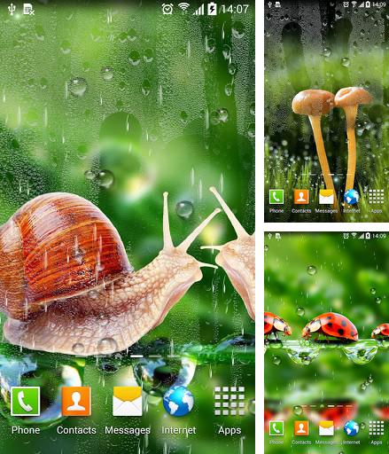 Kostenloses Android-Live Wallpaper Regen. Vollversion der Android-apk-App Rains für Tablets und Telefone.