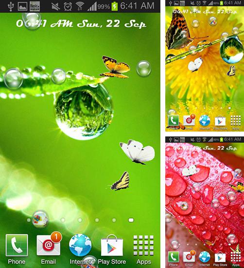 Kostenloses Android-Live Wallpaper Regentropfen. Vollversion der Android-apk-App Rain drop für Tablets und Telefone.