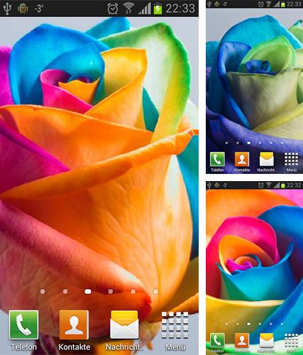 Kostenloses Android-Live Wallpaper Regenbogenrosen. Vollversion der Android-apk-App Rainbow roses für Tablets und Telefone.