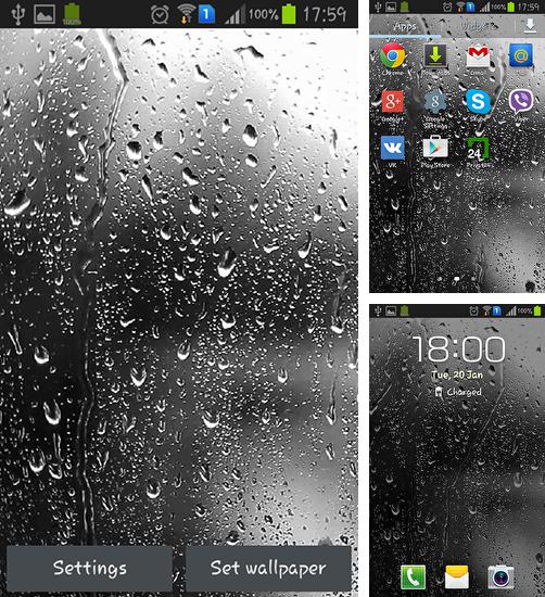 Descarga gratuita fondos de pantalla animados Gotas de lluvia  para Android. Consigue la versión completa de la aplicación apk de Raindrops para tabletas y teléfonos Android.