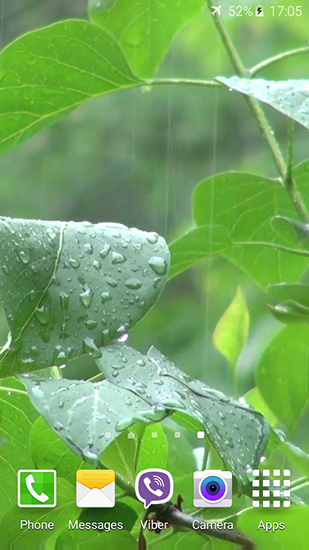 Fondos de pantalla animados a Rainstorm para Android. Descarga gratuita fondos de pantalla animados Aguacero.