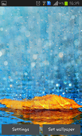 Download livewallpaper Rainy autumn for Android. Get full version of Android apk livewallpaper Rainy autumn for tablet and phone.