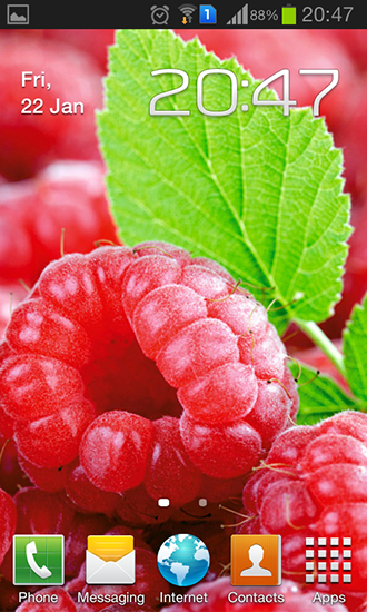 Raspberries - безкоштовно скачати живі шпалери на Андроїд телефон або планшет.