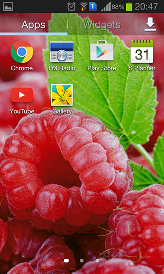 Raspberries für Android spielen. Live Wallpaper Himbeeren kostenloser Download.
