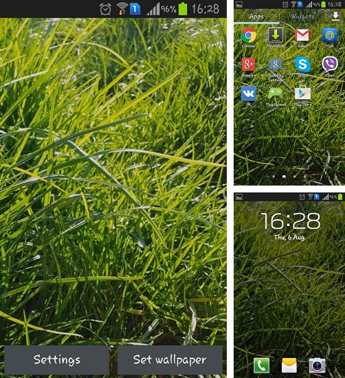 Дополнительно к живым обоям на Андроид телефоны и планшеты Летний пейзаж, вы можете также бесплатно скачать заставку Real grass.