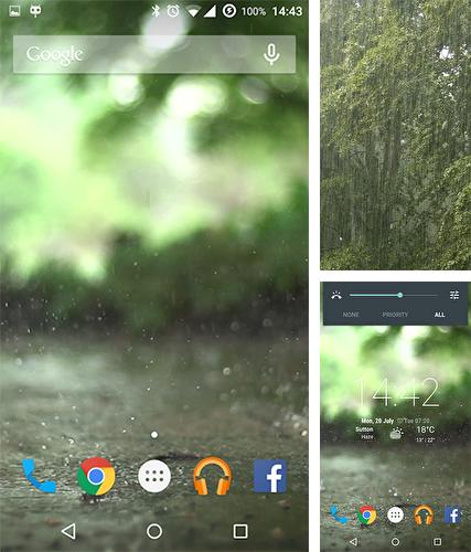 Descarga gratuita fondos de pantalla animados Lluvia real para Android. Consigue la versión completa de la aplicación apk de Real rain para tabletas y teléfonos Android.
