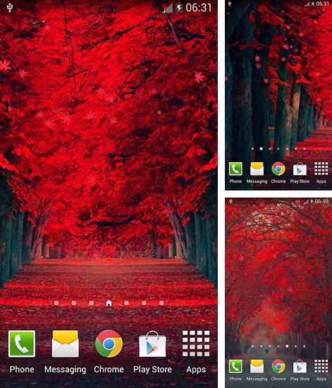 Además de fondo de pantalla animados Onda de luz para teléfonos y tabletas Android, también puedes descargarte gratis Red leaves.