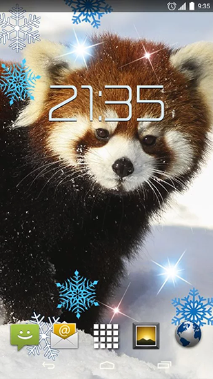 Kostenloses Android-Live Wallpaper Roter Panda. Vollversion der Android-apk-App Red panda für Tablets und Telefone.