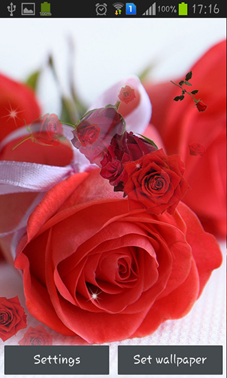 Red rose - скачать бесплатно живые обои для Андроид на рабочий стол.