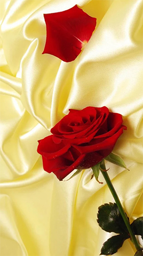 Red rose by HQ Awesome Live Wallpaper - скріншот живих шпалер для Android.