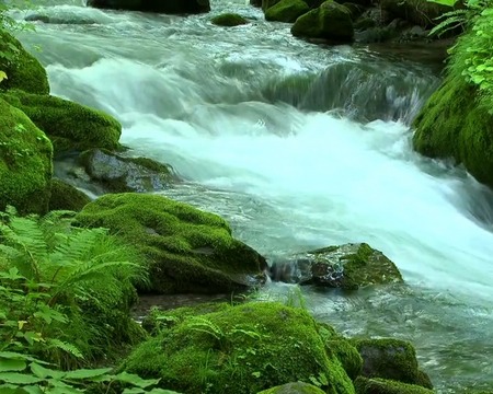 Kostenloses Android-Live Wallpaper Fließender Fluss. Vollversion der Android-apk-App River flow für Tablets und Telefone.