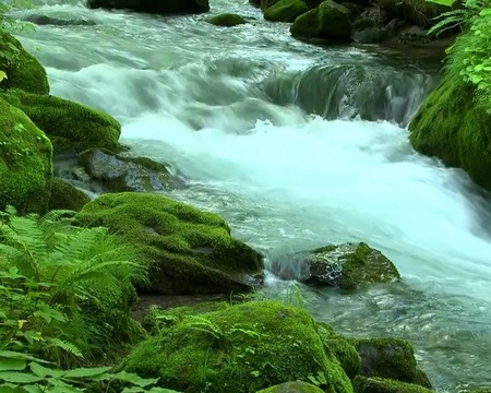 River flow - скачать бесплатно живые обои для Андроид на рабочий стол.