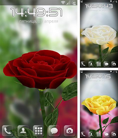 Kostenloses Android-Live Wallpaper Rose 3D. Vollversion der Android-apk-App Rose 3D für Tablets und Telefone.
