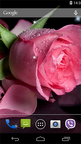 Download Rose by Wallpapers Pro - livewallpaper for Android. Rose by Wallpapers Pro apk - free download.