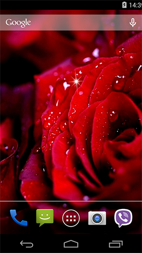 Screenshots von Rose by Wallpapers Pro für Android-Tablet, Smartphone.