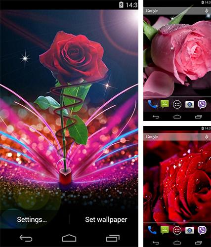 Kostenloses Android-Live Wallpaper Rose. Vollversion der Android-apk-App Rose by Wallpapers Pro für Tablets und Telefone.