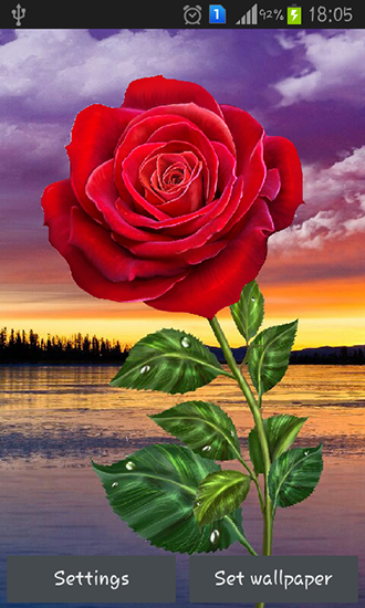 Rose: Magic touch live wallpaper for Android. Rose: Magic touch free  download for tablet and phone.
