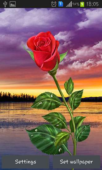 Kostenloses Android-Live Wallpaper Rose: Magische Berührung. Vollversion der Android-apk-App Rose: Magic touch für Tablets und Telefone.