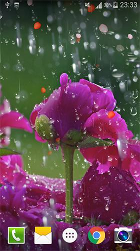 Screenshots of the Rose: Raindrop for Android tablet, phone.
