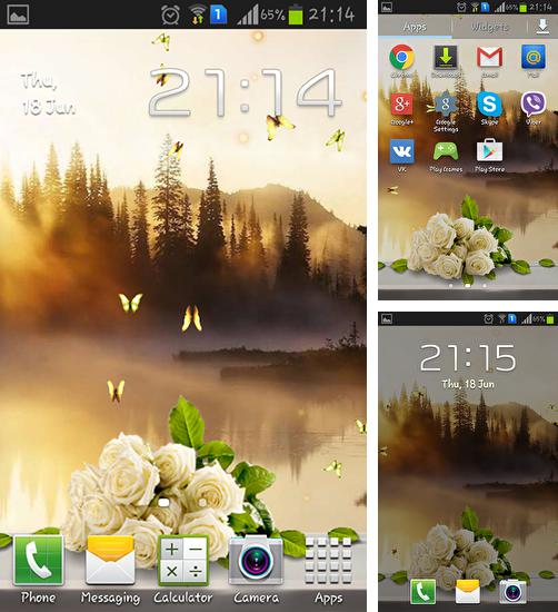 Дополнительно к живым обоям на Андроид телефоны и планшеты Удивительные небеса, вы можете также бесплатно скачать заставку Rose: Summer morning.
