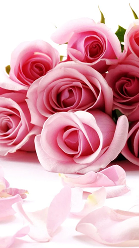 Download Roses 3D by Happy live wallpapers - livewallpaper for Android. Roses 3D by Happy live wallpapers apk - free download.