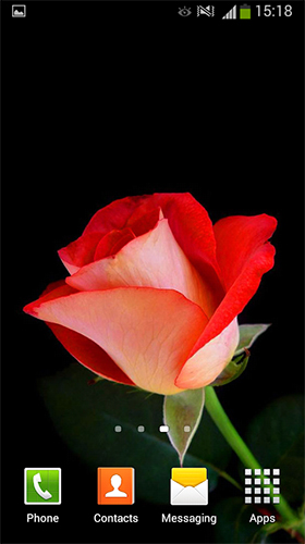 Roses by Cute Live Wallpapers And Backgrounds - скриншоты живых обоев для Android.