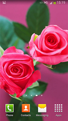 Як виглядають живі шпалери Roses by Cute Live Wallpapers And Backgrounds.