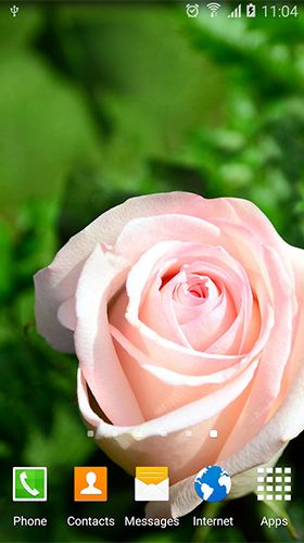 Screenshots von Roses by Live Wallpapers 3D für Android-Tablet, Smartphone.