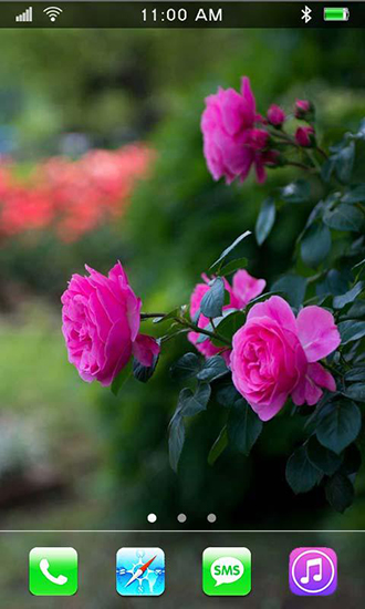Roses: Paradise garden - безкоштовно скачати живі шпалери на Андроїд телефон або планшет.