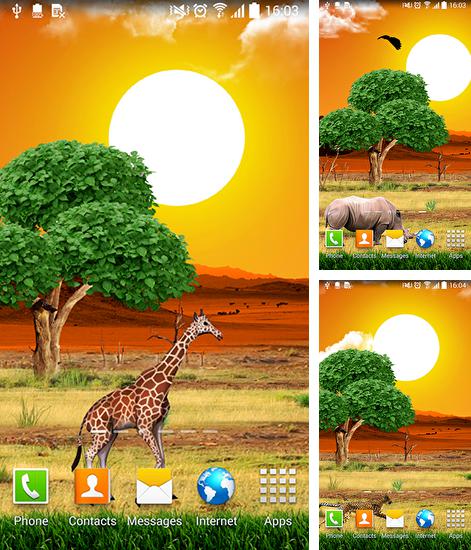 Kostenloses Android-Live Wallpaper Safari. Vollversion der Android-apk-App Safari für Tablets und Telefone.