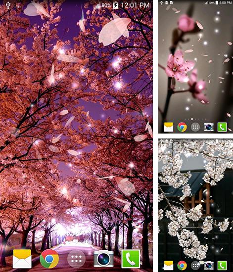 Zusätzlich zum Live Wallpaper Vintage für Android Mobiltelefone und Tablets, können Sie auch Sakura 3D, Sakura kostenlos herunterladen.