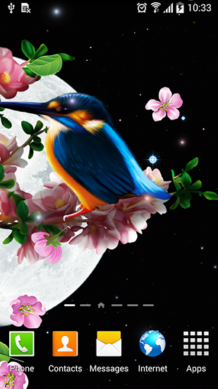 Fondos de pantalla animados a Sakura and bird para Android. Descarga gratuita fondos de pantalla animados Sakura y el pájaro .