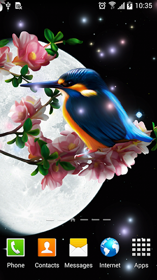Écrans de Sakura and bird pour tablette et téléphone Android.