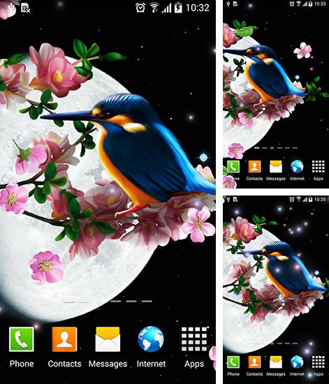 Kostenloses Android-Live Wallpaper Sakura und Vogel. Vollversion der Android-apk-App Sakura and bird für Tablets und Telefone.
