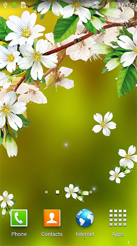 Téléchargement gratuit de Sakura by BlackBird Wallpapers pour Android.