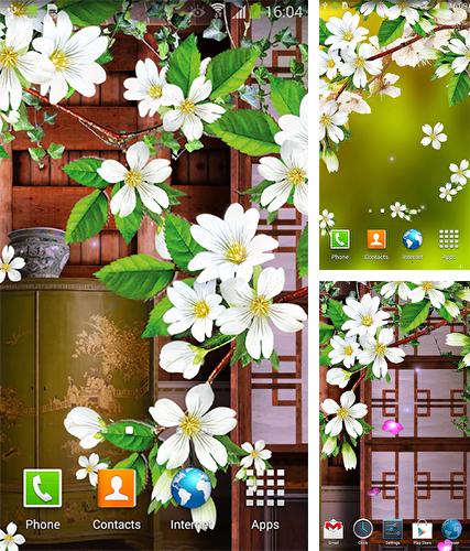 Sakura by BlackBird Wallpapers - бесплатно скачать живые обои на Андроид телефон или планшет.