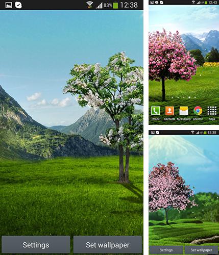 Kostenloses Android-Live Wallpaper Sakura. Vollversion der Android-apk-App Sakura by DIVARC GROUP für Tablets und Telefone.