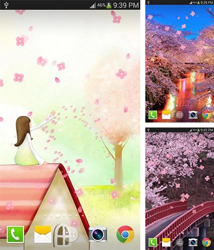 Sakura by live wallpaper HongKong - бесплатно скачать живые обои на Андроид телефон или планшет.