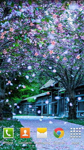Sakura by orchid - безкоштовно скачати живі шпалери на Андроїд телефон або планшет.