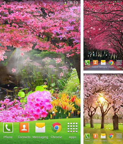 Sakura by orchid - бесплатно скачать живые обои на Андроид телефон или планшет.