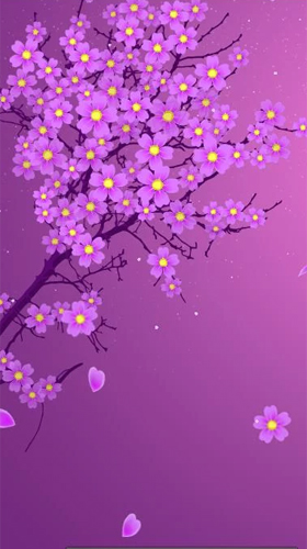 Sakura by Xllusion